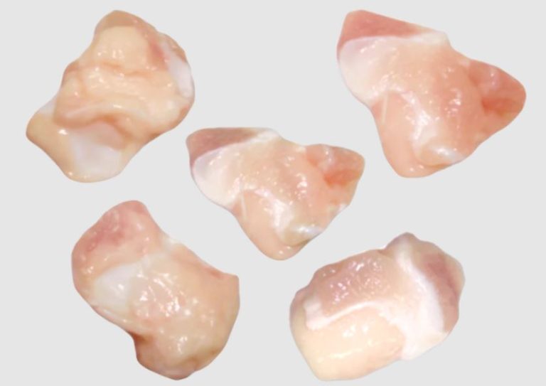 chicken knee cartilage